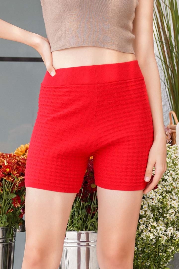 Picture of Bristol Knit Shorts