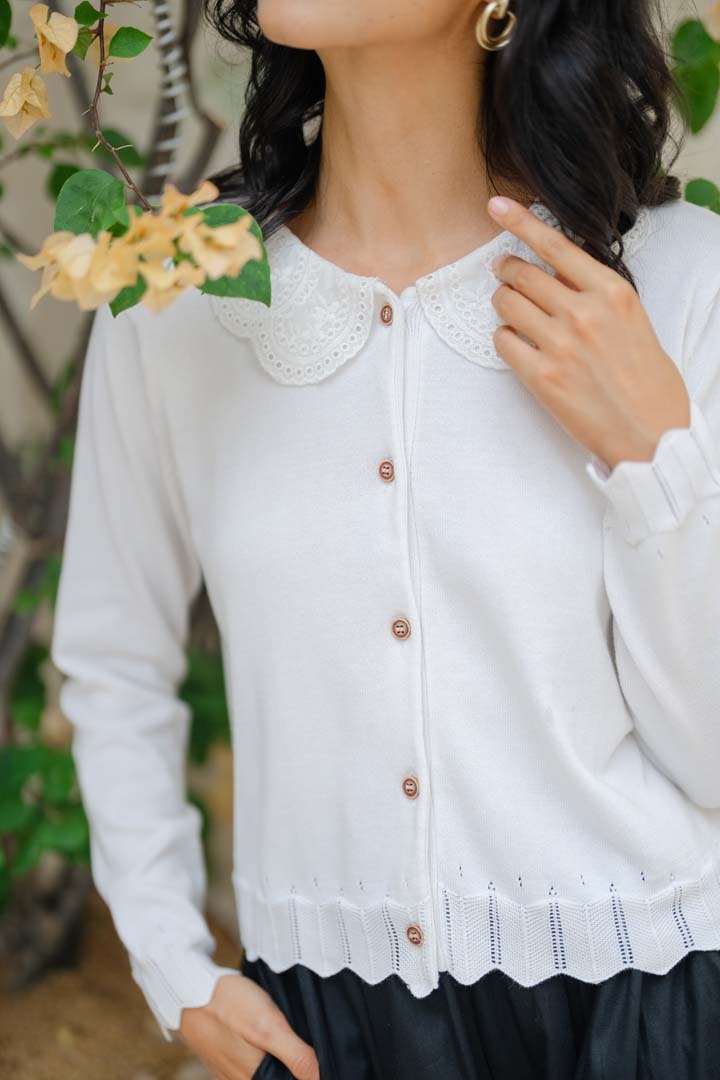 Picture of Collar Knit Blouse